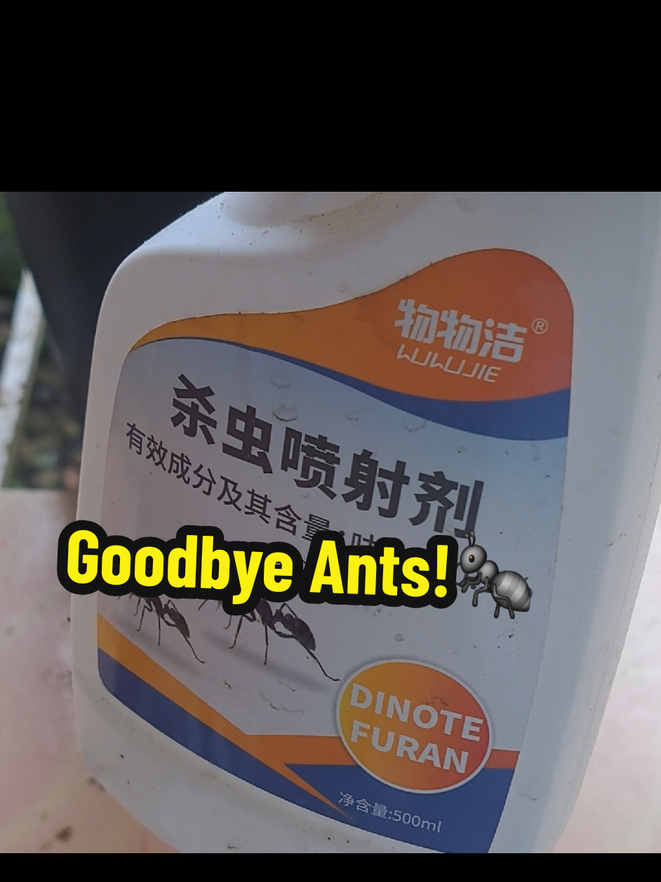 Keep your space clean and safe with this organic ant spray, tough on ants, gentle on your family & pets. 🐜🚫 #fyp #trend #furan #antspray #homeessentials 