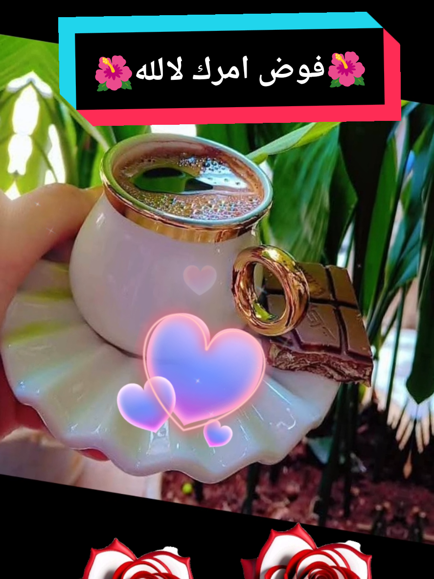 #CapCut #🌺🌹🌺#صباح الخير#SANDEPeel #اكسبلوروتكتك💚❤️ 🩵