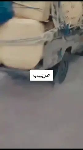 مقاوته اليمن 🇾🇪💯🌱🇾🇪المهره مارب عدن حضرموت شبوه المكلاء تيحياتي للجميع من رداع العصيه مرحبا مليون 🇾🇪🌱💯🇾🇪