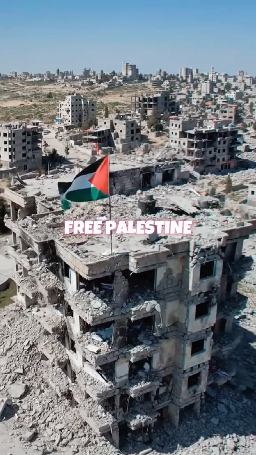MERDEKA !!! 🍉 #hiburan #humanity #freepalestine🇵🇸❤️ #foryou #viral #fypシ゚viral #fyp 