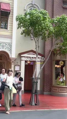 finally bisa ngepost ini dengan haru. #disney #disneyland #tokyo #disneytok #disney 