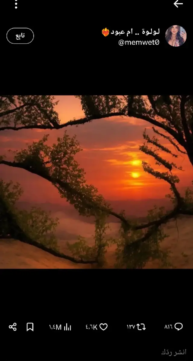 #رقص #دلع #مصر #متعه #لبنان 