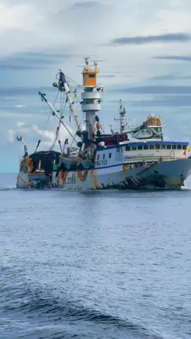 Menyala memang pelaut pursenerrr🔥🤙🤙💸💸🚀🚀🚀#pelautpunyacerita #pelautindonesia #pelautindonesiatiktok #fypシ #masukberanda #fyp #nelayan #nelayanlautdalam #kapalpursen #fuoko #pursen 