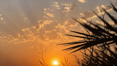 @ روحَي اذا متريدك الله ياخذ روحي🤎🙇‍♀️ . … #شعب_الصيني_ماله_حل😂😂 #تصويري_احترافي_الاجواء👌🏻🕊😴 #npr1🌚  