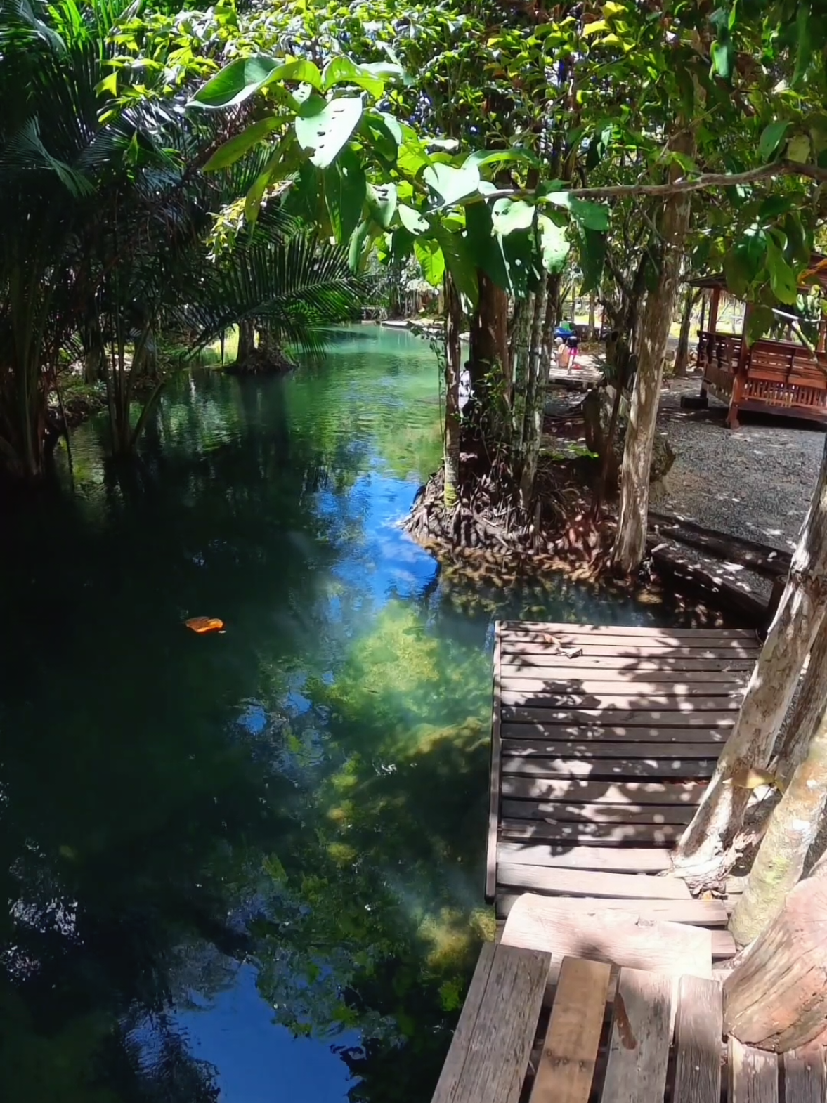 the nature is wonderful #krabi #thailand #กระบี่ #ธารคีรีกระบี่ #insta360 