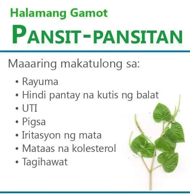 #LIVEIncentiveProgram #LIVEwithlowfollowers #PaidPartnership 