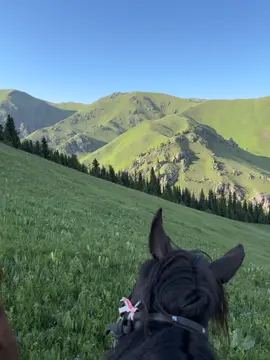 #рекомендации 