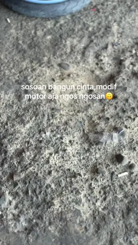 #mxking #fypシ゚ 