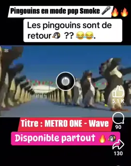 les pingouins sont en action 🤣