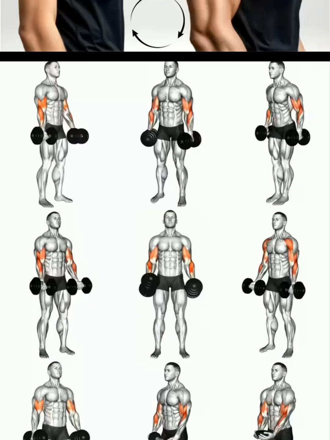 Perfect Arms Workout #GymTok #muscle #exercise #Fitness #workout #workoutroutine #workouttips #fit #fitnesstips #Biceps #Bicepsworkout