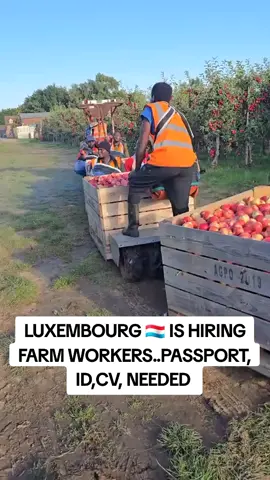 #merutiktokers #mombasatiktokers #nairobitiktokers 