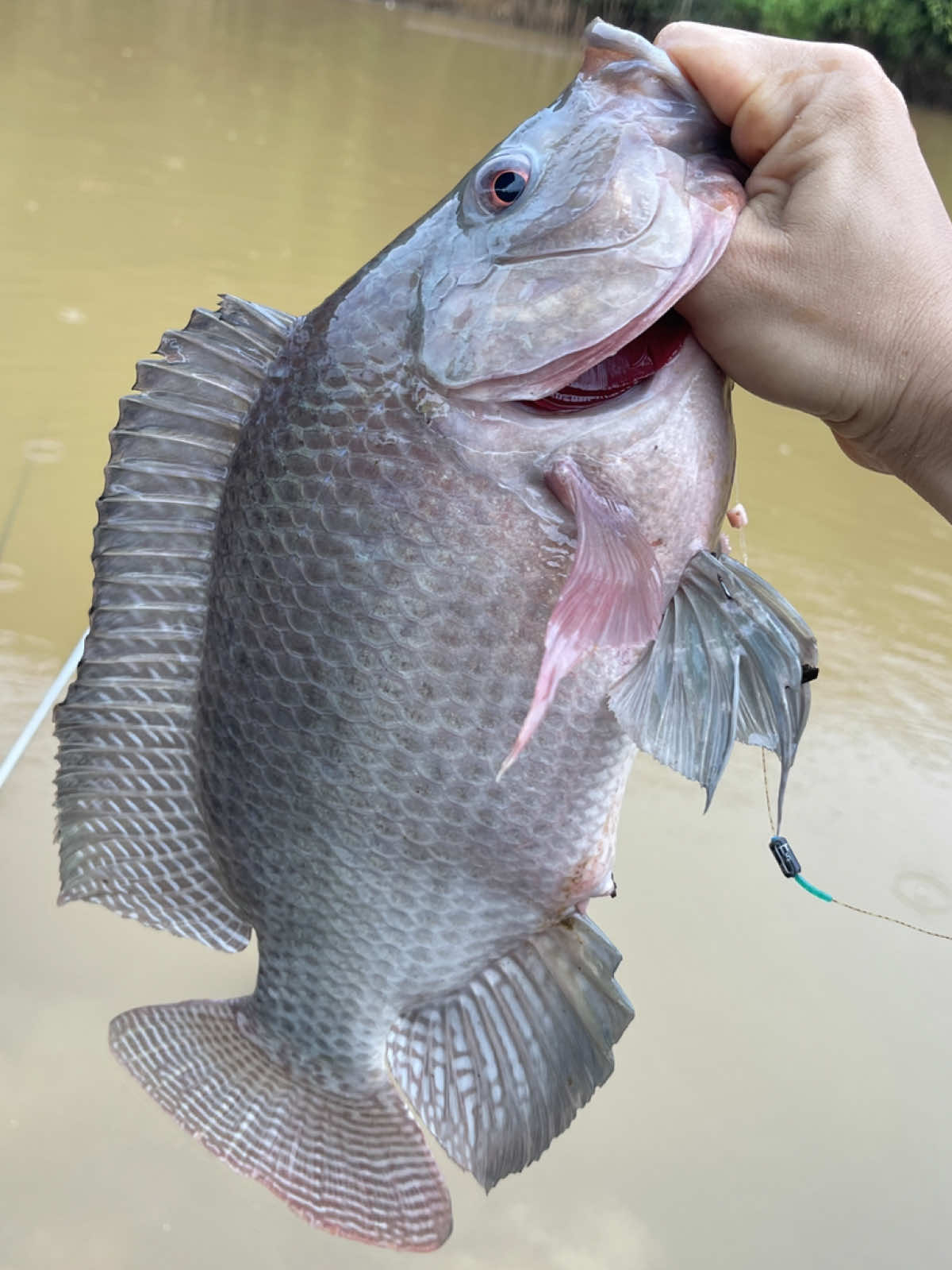 Sốc vây được cũng ảo lòi..@@@@ 😅😵🤣