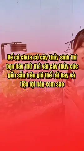 Cây thủy sinh gắn giá thể dinh dưỡng thả bể cá rất hay mà bạn nên thử cho bể cá của mình #caythuysinh #caythuysinhgangiathe #nuôicá #phukienbeca #aquarium #bểcáthuỷsinh #thuysinh #thuysinhdoshop 
