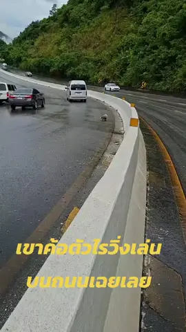 #เขาค้อ วิ่งเล่นสนุกเลย