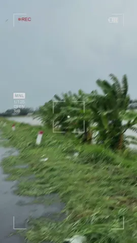 Người ơiiii #angiang #longxuyen #thatim5ngon🥰🥰🥰💞💞💞💕💕💕 #xuhuongtiktok2025❤️💕🇻🇳🌹 