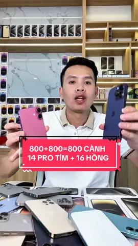 800+800=800 CÀNH 14 PRO TÍM + 16 HỒNG - CẶP UYÊN ƯƠNG MÙNG 1 #anhuytin 