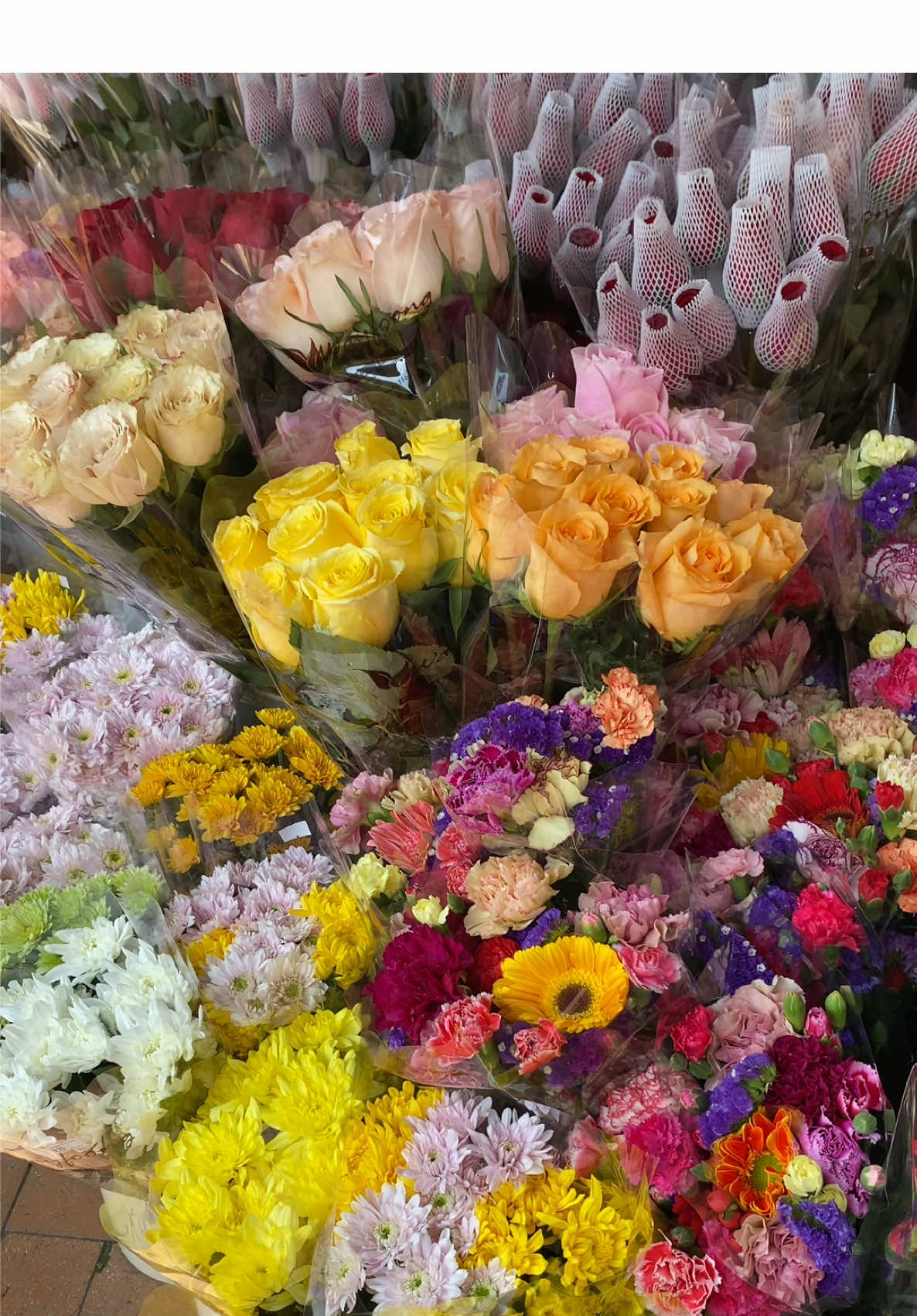 Like flowers, we all need a little sunshine 🌻 #fyp #flowers #flower 