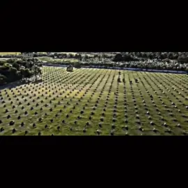 #manok #gamefarm #trend #fyppppppppppppppppppppppp #fypシ゚viral 