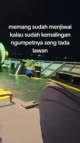 wih yg mana lagi ini belum kapok🤔 #fyp #pelautindonesia #containership #shipyard