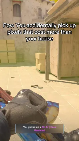 Most expensive ak47 skin #cs2 #csgo #fyp #primordial #skins 