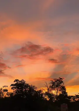 “The last light, yet the most beautiful.”❤️‍🩹