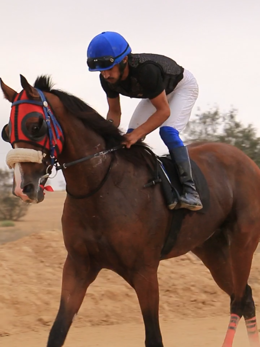 #عبد_العصيبي⚔️🔥 #خيل_وخياله🐎🖤ماشاءالله_اللهم_بارك🧿♥️ #explore #خيل_وخياله🐎 #خيل_المذبح🔥🐴 