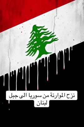 تاريخ لبنان، الشيعة والموارنة وتاريخ تواجدهما في لبنان #لبنان🇱🇧 #لبنان ##بعلبك #maronite #lebanon 