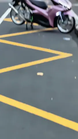 Manis🤤🫦#aerox155 #fyp #fypage 