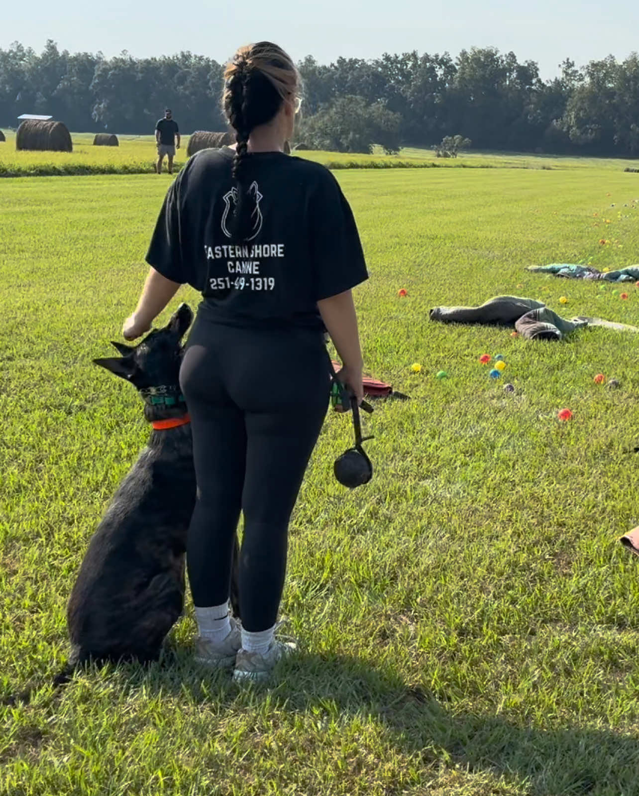 Cartwheeling in a suit is crazy work #belgianmalinois #protectiondog #DogTraining #dogsoftiktok #dutchshepherd 