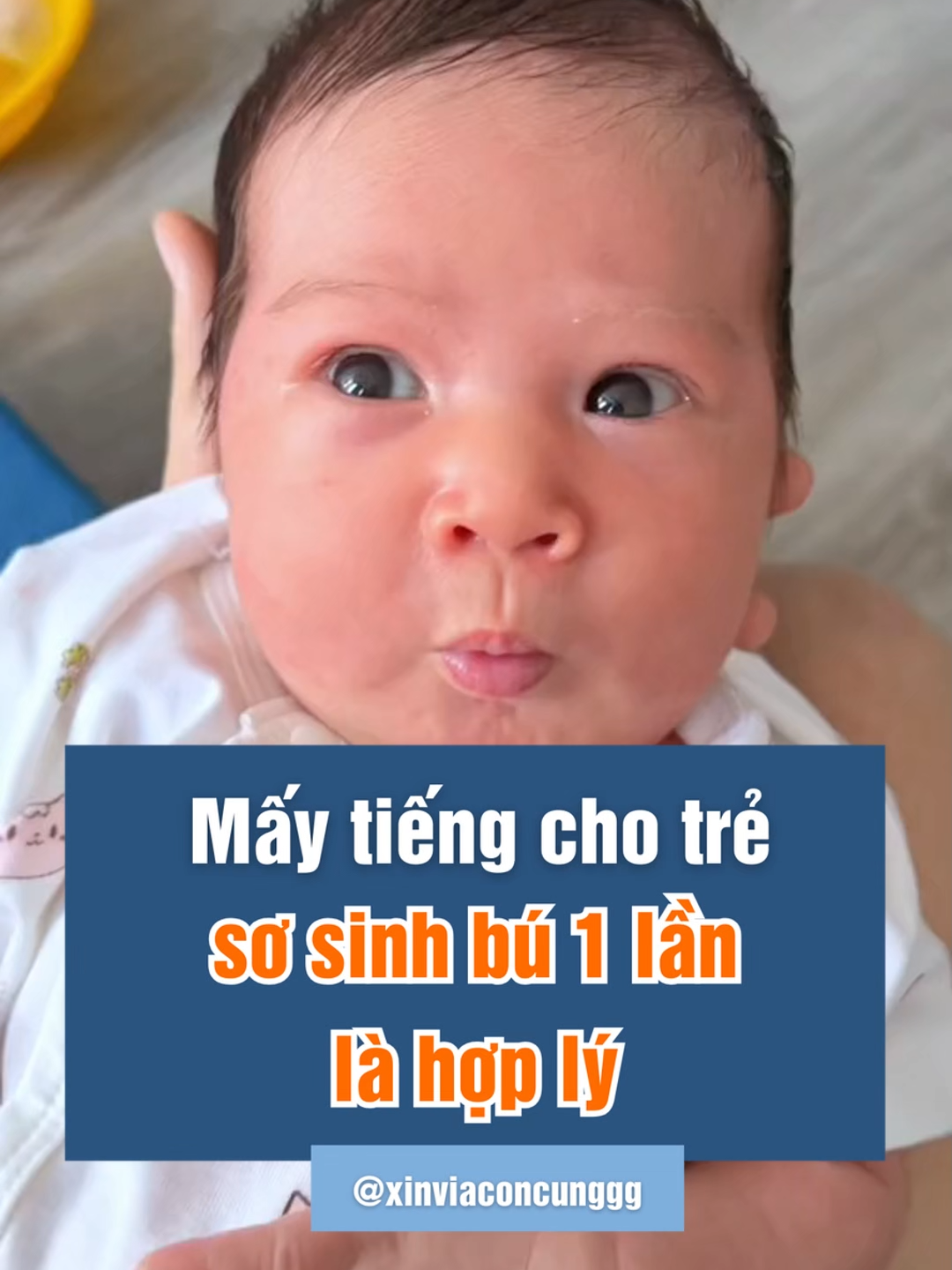 Mấy tiếng cho trẻ sơ sinh bú 1 lần là hợp lý #kinhnghiemchamcon #nuoiconeasy #nuoicondungcach #landaulamme #embedangyeu #dayconthongminh