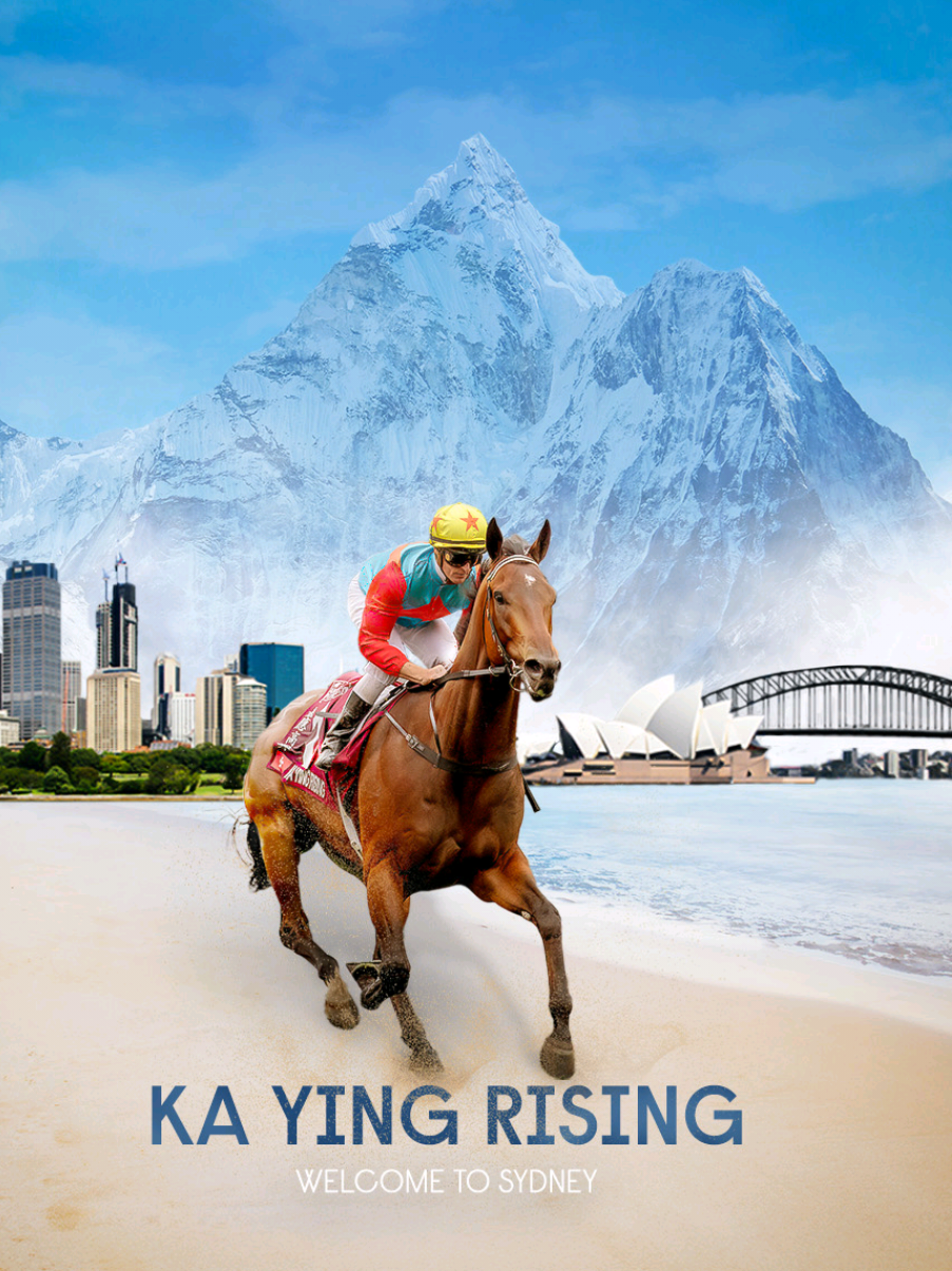 He's Arrived! 🤩 Who can't wait to see him? #horsesoftiktok  #horseracing #racing #horses #sportsontiktok 