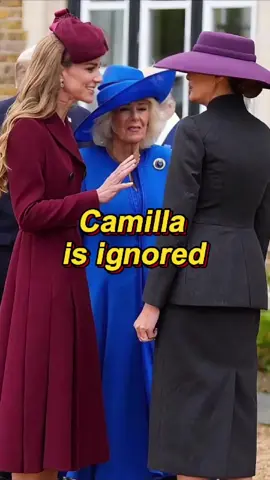 Camilla is ignored.#fyp #celebrity #royal #queencamilla 