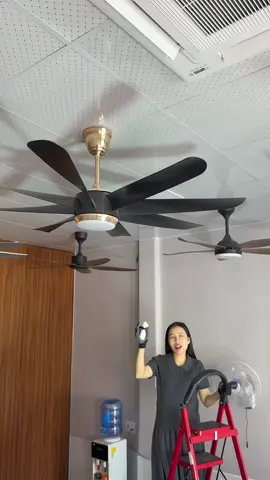 Quạt trần 8 cánh nhựa ABS hàng chuẩn loại 1 #oanhoioanh  #quattran  #quattran8canh  #quattrangtri  #noithatnhadep 