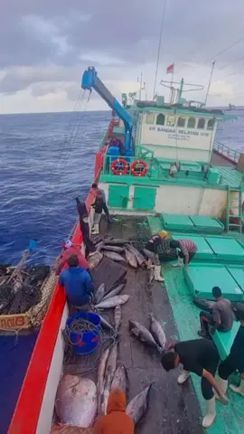 itu ikan ny jln sndiri k'kastorit hhhhhhhh #kulikapal⛓️🌍🚢  #fypシ #masukberanda 