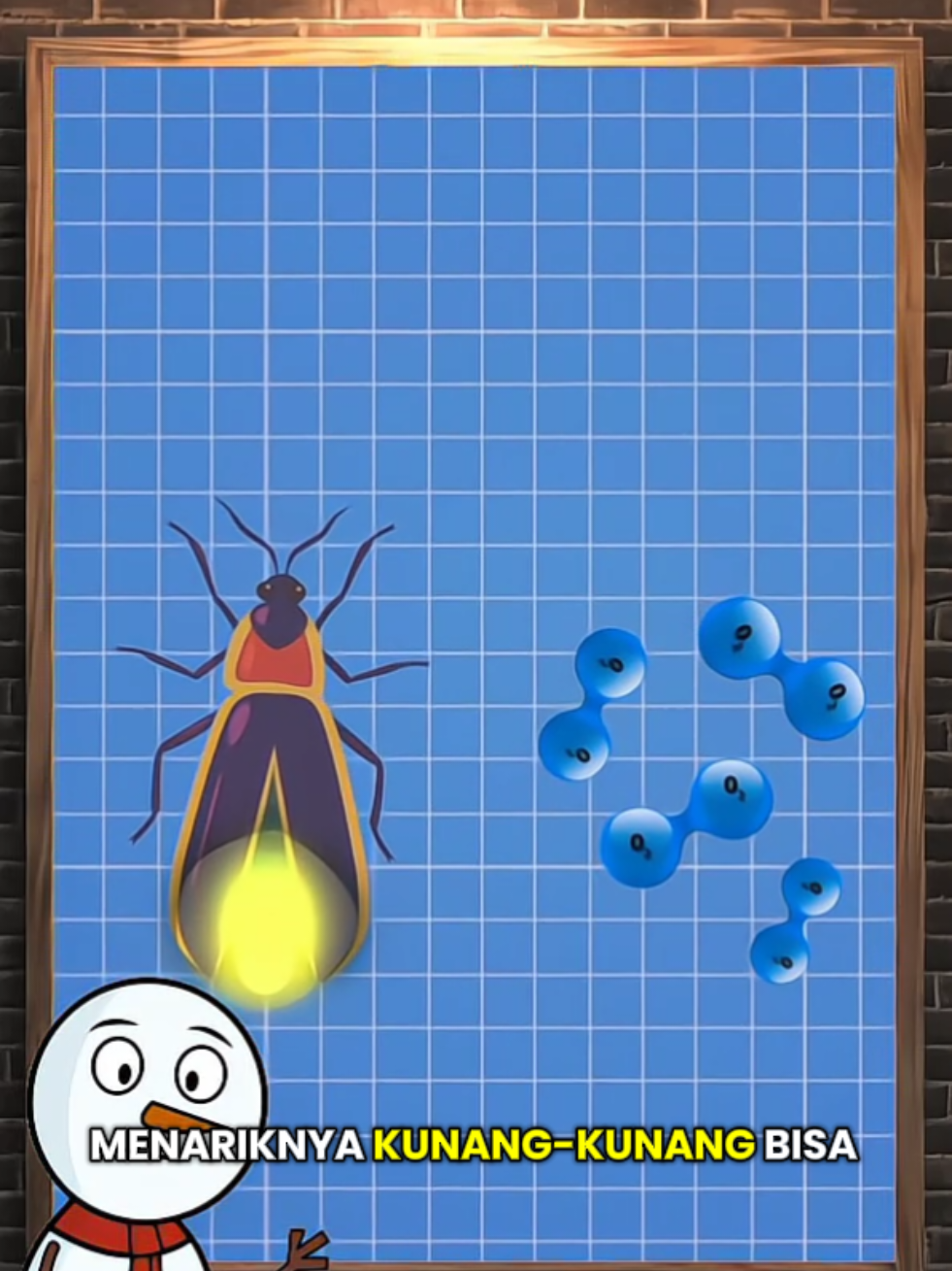 Fenomena cahaya kunang-kunang disebut bioluminesensi. Uniknya, cuma segelintir makhluk di bumi yang bisa melakukannya — selain kunang-kunang, ada juga beberapa jenis ubur-ubur, jamur, sampai hewan laut dalam. Yang bikin makin menarik, ilmuwan menemukan kalau cahaya kunang-kunang ini bukan cuma buat gaya-gayaan. Ada teori yang bilang mereka pakai cahaya untuk menarik pasangan, ada juga yang untuk menakuti predator. Fakta uniknya, penelitian bioluminesensi kunang-kunang bahkan pernah jadi inspirasi dalam bidang medis, khususnya untuk mengembangkan teknologi pendeteksi sel kanker!. 😁 SC: Zack d film 
