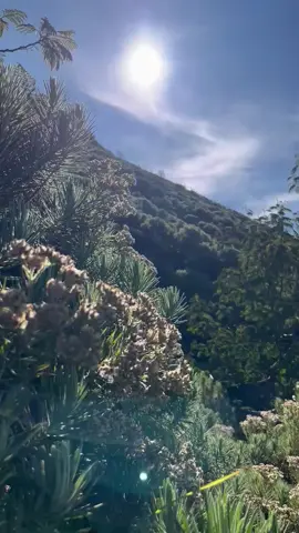 Atap Jabar 21 September 2025 #pendakigunung  #ciremaiviapalutungan 