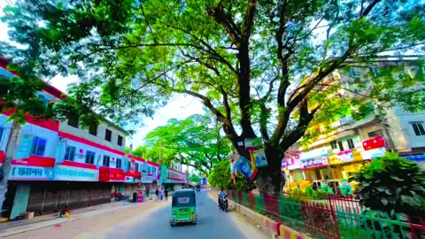 এই শহরে ভালোবাসা পাওয়া যায়, কিন্তু ভালোবাসার মানুষকে পাওয়া যায় না,,😅❤️‍🩹#foryou #foryoupage #flowers #highlight #viralvideo #vairal #trending #tiktok #bdtiktokofficial #unfrezzmyaccount 