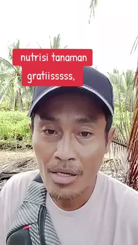 nutrisi pupuk tanaman #tanaman  #pertanian 