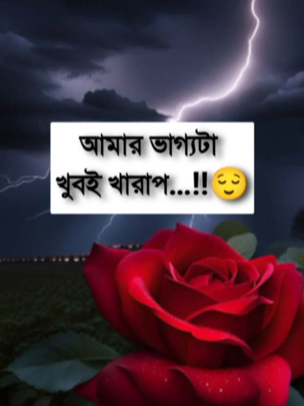 আমার ভাগ্যটা খুবই খারাপ #fypシ #ppppppppppppppppppppppp #alionfire00 