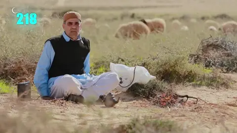 #مشاهدادت ##شط_الحرية 