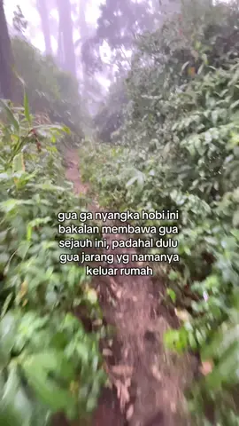 terimakasih untuk teman yg telah memperkenalkan kita ke dunia pendakian #raung3344mdpl #mountnesia #pendaki #fyp #nature 