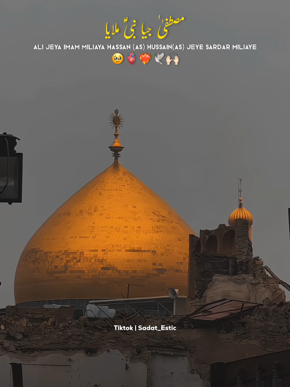 ❤️‍🔥🕊️🙌🏻 . . . . . . . . . . #shiastatus #aliunwaliullah  #aliwaly #unfreezmyaccount  #islamic 