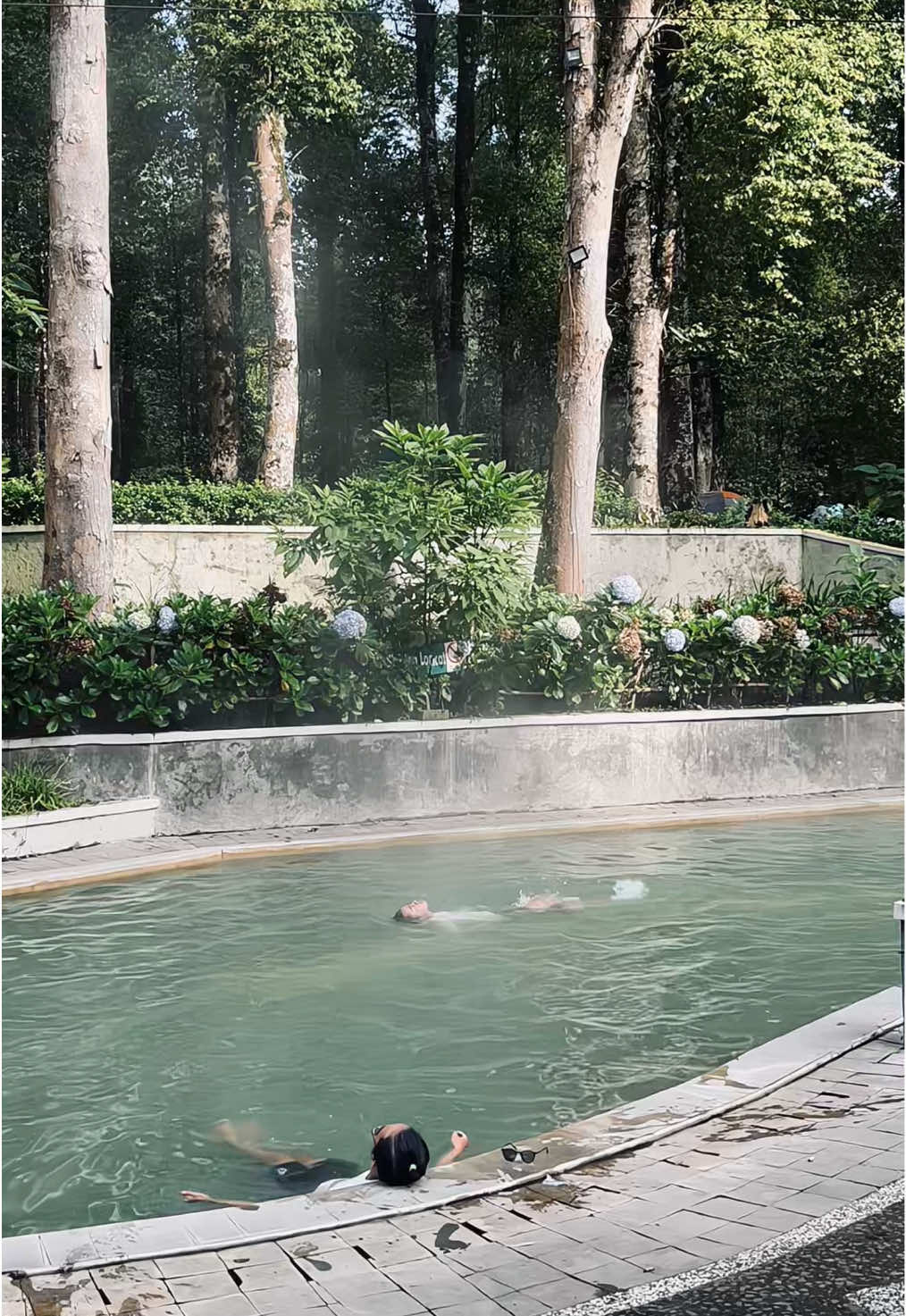 Tenang yang aku maksud🍃 📍Hejo Forest Ciwidey, Bandung