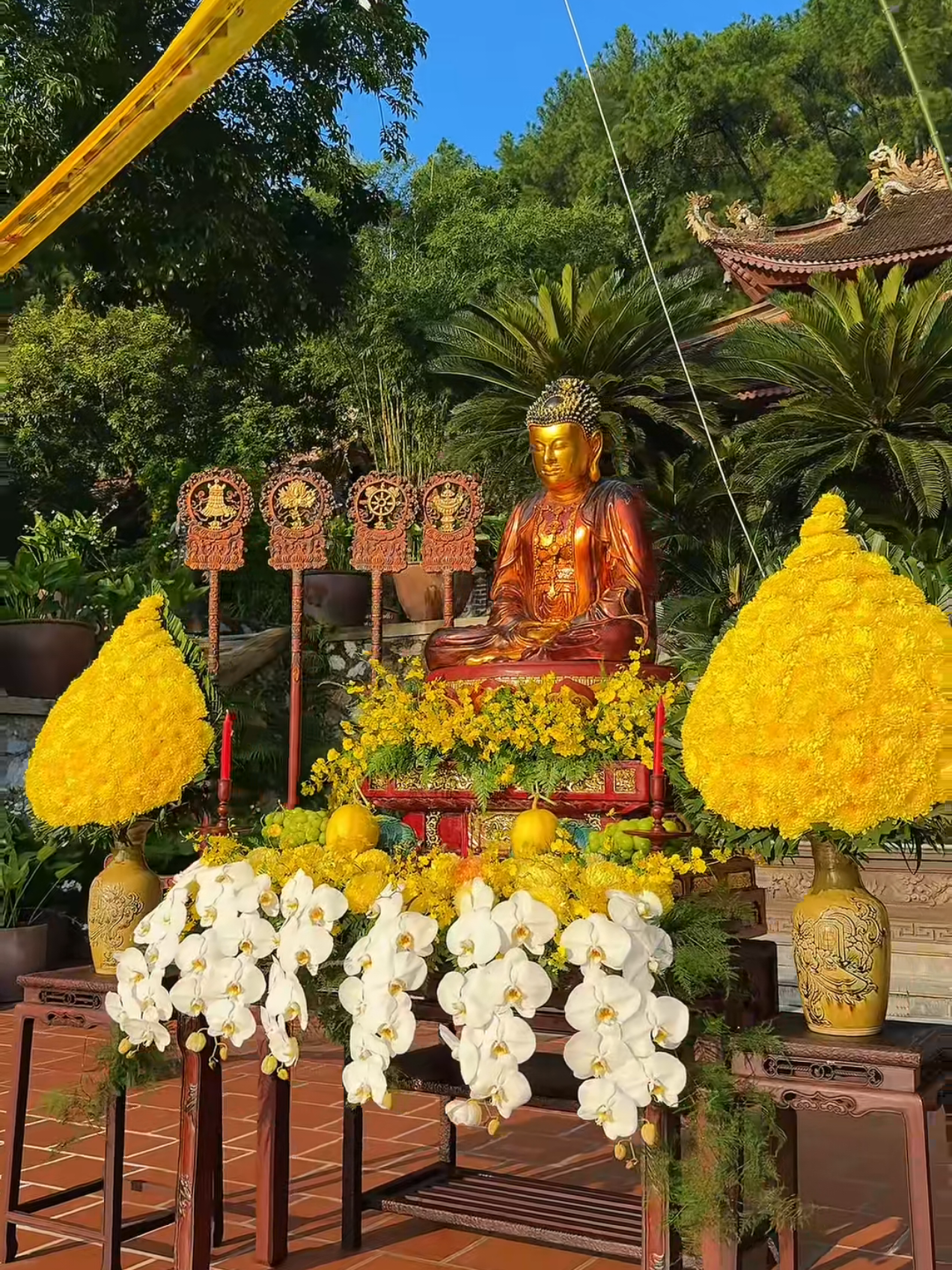 Chùa Địa Tạng Phi Lai Tu Tọa Lạc Tại Tỉnh Hà Nam #canhđepthiennhien #canhđepthiennhien 