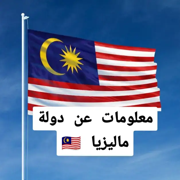 #ماليزيا 🇲🇾 #كوالالمبور 🏙️ #ابراج_بتروناس 🏢 #سياحة_ماليزيا 🏝️ #ناسي_ليماك 🍚🥥