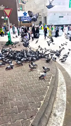 #الحمدالله_علی_کل_حال❤ #السعودية #الحرم_المكي #مكة_المكرمة 