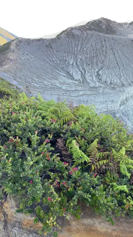 kawah ijen 22 september 2025 cuaca cerah🤩#explore #kawahijen #banyuwangi #fyp #4upage 