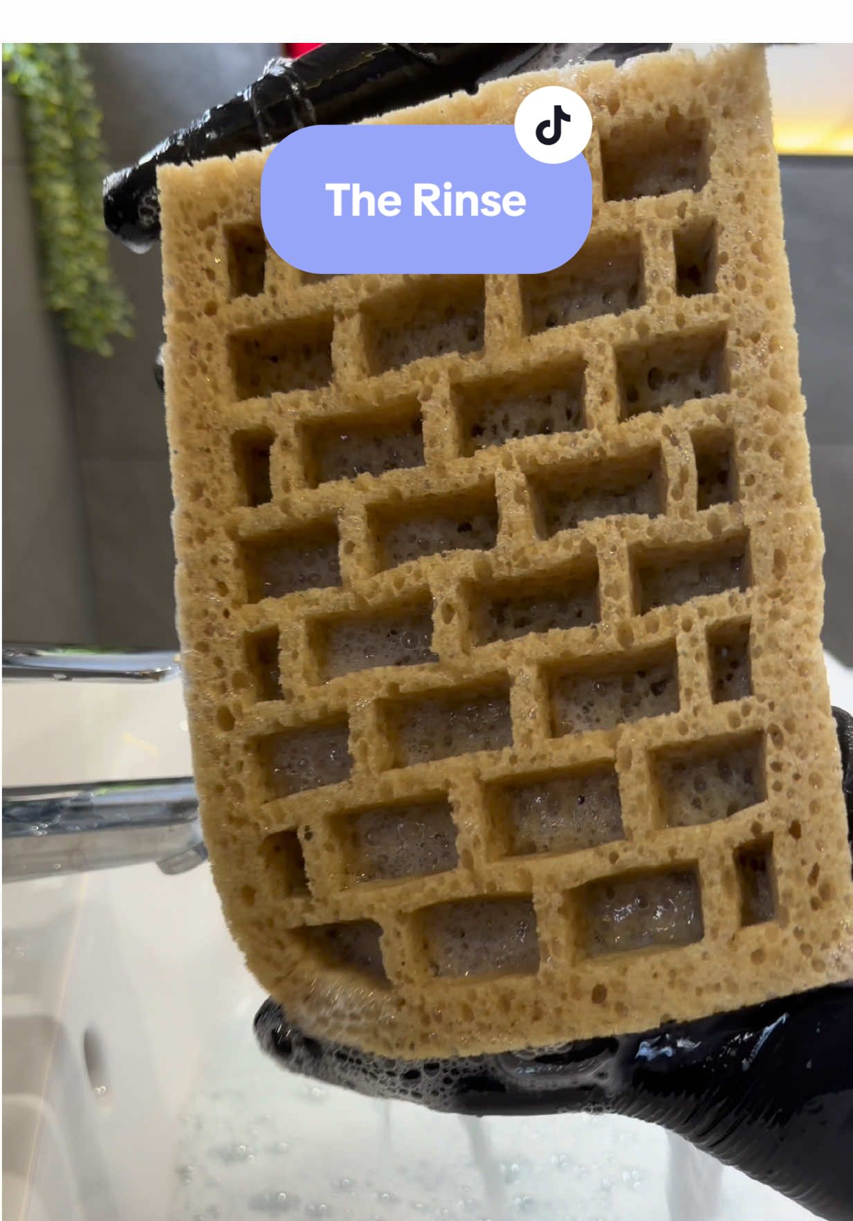 The Rinse!! The suds were sudsing in this rinse! 😍😍😍😍 #fyp #asmr #sudsy #overload #spongesqueezing 
