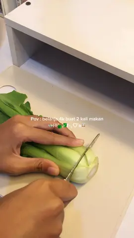Belanja 4k udah bisa makan enak, sehat pula. Btw 4k itu telur 2,5 k pakcoynya 1,5k murah kan? Dirumah kalian berapa #anakkost #resepanakkos #masakdipancilistrik #masakansimple #povanakkos 