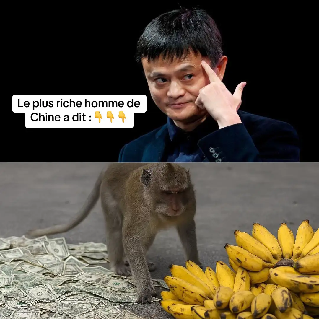 Le plus riche homme de Chine a dit : « Si tu mets une banane et de l’argent devant un singe, le singe choisira la banane. Pourquoi ? Parce qu’il ne sait pas que l’argent peut acheter beaucoup de bananes. C’est la même chose avec les gens. Si tu proposes un travail et une entreprise, la plupart choisiront le travail. Ils ne savent pas qu’une entreprise peut rapporter bien plus qu’un salaire. Beaucoup de personnes restent pauvres parce qu’elles passent leur vie à étudier pour trouver un emploi. Elles travaillent pour un salaire, mais pas pour elles-mêmes. Un salaire te permet de vivre au jour le jour. Mais un profit peut changer ta vie et te rendre vraiment libre. » #motivation #mindest #videoviral #courage 